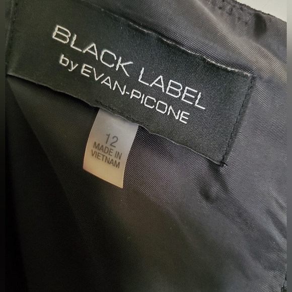Black Label by Evan-Picone Sleeveless Fit + Flare Dress size 12 - Picture 7 of 7